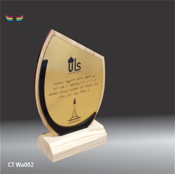 Wooden Award